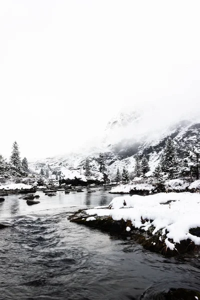 Bevroren Berg Rivier Met Sneeuw Bedekte Dennen Winter Bergen — Stockfoto