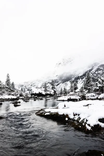 Rivière Montagne Gelée Avec Pins Enneigés Hiver Montagne — Photo