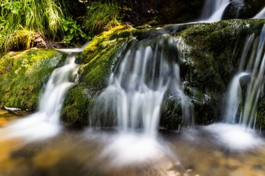Dağ şelale yaz orman içinde. Nehir ile ıslak taşlar ve kıyıdaki tesisleri.