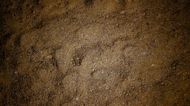Arka plan olarak kum ve taze toprak