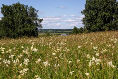 Ufukta nehir ile ağaçlar ve bulutlar arasında yeşil alan