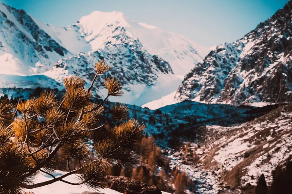 Herbstbäume Den Bergen Schnee Auf Hügeln Waldtal — Stockfoto