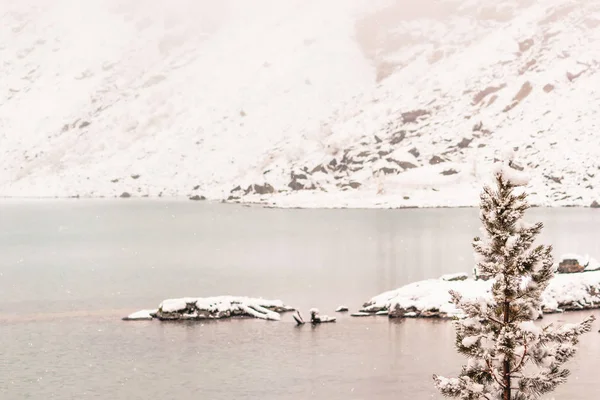 Tempo Inverno Rio Montanha Pinheiros Neve Lago — Fotografia de Stock