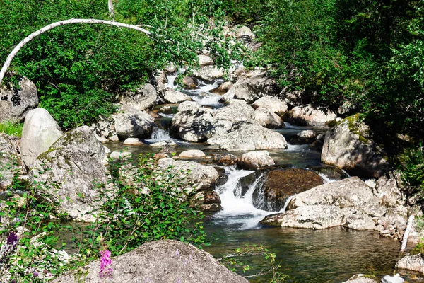 Mountain stone river in summer forest