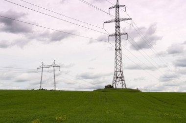 Yaz günü yeşil alandaki elektrik hatları. Elektrik kabloları ve enerji endüstrisi aracılığıyla taşınıyor.