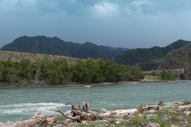 Dağ nehri kayalıklarla. Altai 'deki dağ vadisinde su akışı