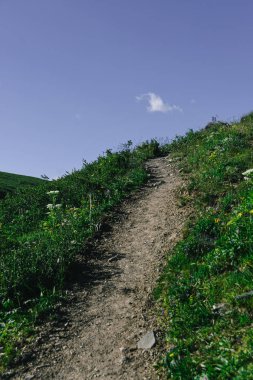 Yeşil çayırlarda yürümek için toprak yürüyüş patikası