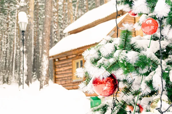 Kerstboom Met Rode Ballen Onder Sneeuw Dennenbos Voorbereiding Van Het — Stockfoto