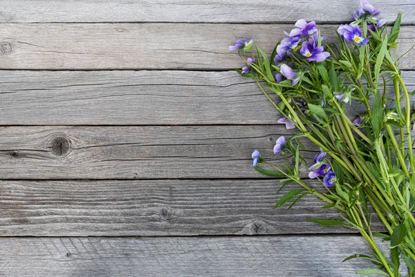 Bouquet Purple Violets Wooden Table Old Boards Garden Flowers — Stock Photo, Image