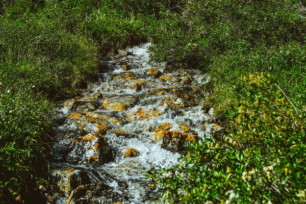 Ορεινό Ρέμα Κίτρινες Πέτρες Ταχεία Ροή Του Ποταμού Βραστό Νερό — Φωτογραφία Αρχείου