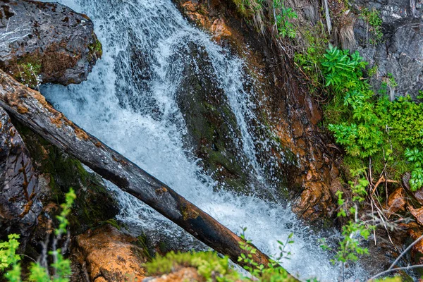 Vodopád Kmenem Stromu Rychlé Horské Řece — Stock fotografie
