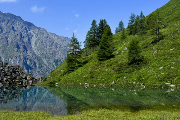 山上湖面的镜面 反映了岸上的石头和树木 — 图库照片