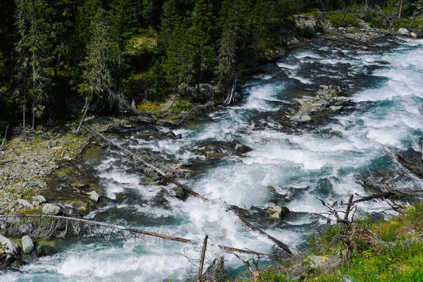 Гірська Річка Сибірській Тайзі Швидкий Струмок Хвойних Лісах Характер Гір — стокове фото