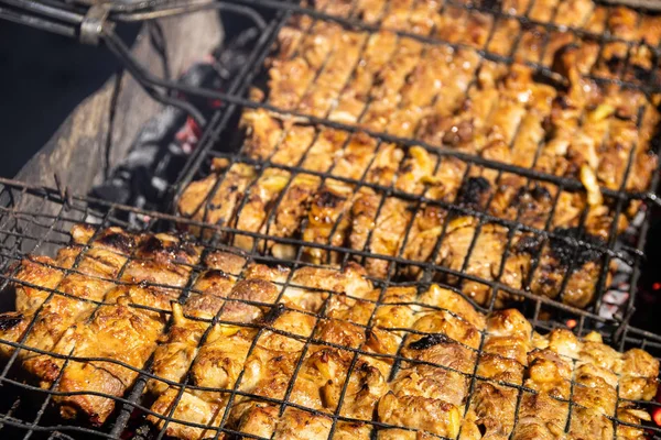 Cucinare Carne Alla Griglia Preparazione Festa Barbecue — Foto Stock