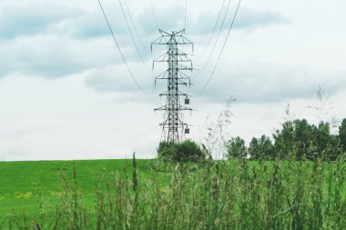 Yaz günü yeşil alandaki elektrik hatları. Elektrik kabloları ve enerji endüstrisi aracılığıyla taşınıyor.