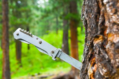 Ağaç gövdesine saplanmış metal turist katlama bıçağı.