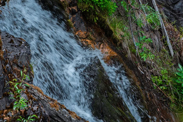 Cascada Con Tronco Árbol Río Montaña Rápida — Foto de Stock