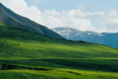 Bulutlu gökyüzünün altında yeşil çimenleri olan yumuşak tepeler