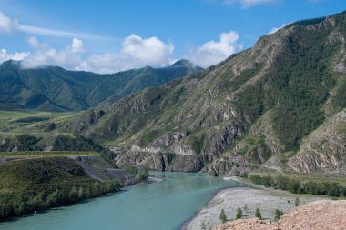 Dağ nehri kayalıklarla. Altai 'deki dağ vadisinde su akışı