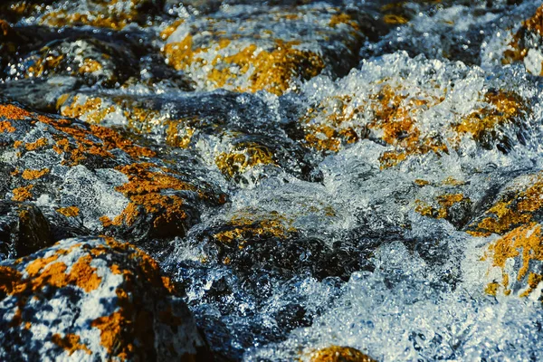 Arroyo Montaña Con Piedras Amarillas Caudal Rápido Del Río Agua —  Fotos de Stock