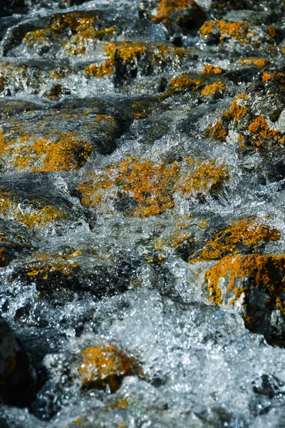Arroyo Montaña Con Piedras Amarillas Caudal Rápido Del Río Agua — Foto de Stock