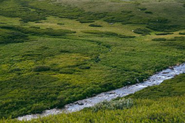 Yeşil tepelerdeki nehir. Yeşil çayırda hızlı akarsu