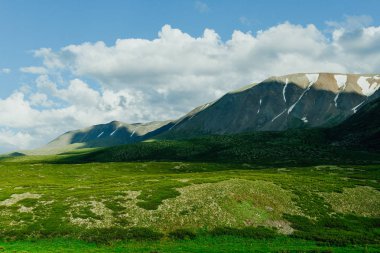 Bulutlu gökyüzünün altında yeşil çimenleri olan yumuşak tepeler