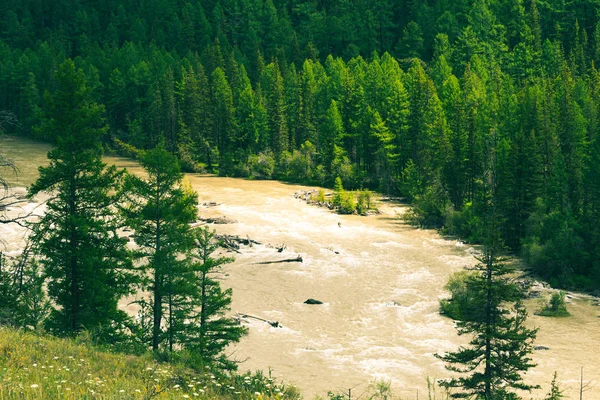 Гірська Річка Скелях Потік Води Гірській Долині Алтай — стокове фото