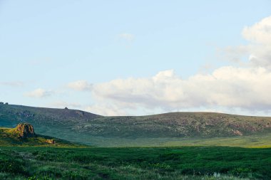 Otlaklar için yeşil çayır, bitkiler için çayır ve tarla