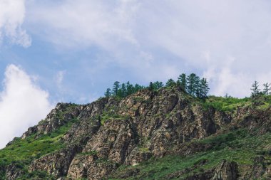 Bulutlu gökyüzünün altında ağaçları ve tepeleri olan dağ vadisi meditasyon ve yürüyüş için uygun bir yer.