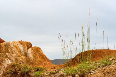 Yaz günü çöl manzarası, Mars manzarasına benzer kırmızı tepeler. Kanyondaki toprak erozyonu, su ve yağmur eksikliği vadiyi bozkıra çevirir.