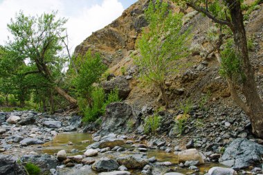 Dağ geçidinde hızlı nehir, kayaların arasında su kanalı