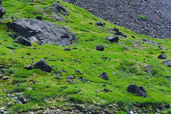 Tepenin Yamacında Yeşil Çimenler Birkaç Kaya Parçası Hayvanlar Için Dağ — Stok fotoğraf