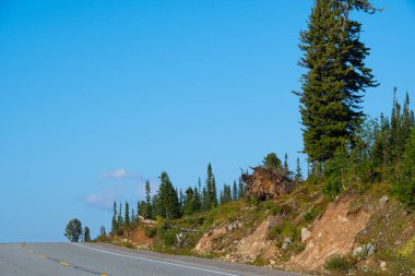 Kuru asfalt yol, ormandaki çizgiler, dağlara yolculuk.