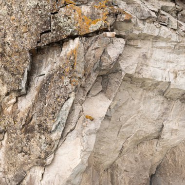 Çamur ve kaldırım taşlarıyla taştan duvarlar.