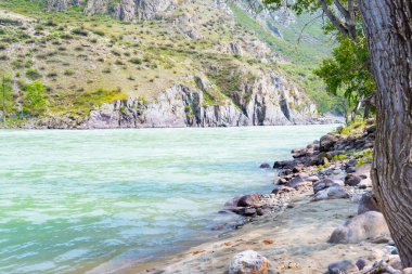 Dağ vadisinde nehir, taşların ve kayaların arasında su akıntısı, kıyıda ağaçlar, salda su turisti gezisi.