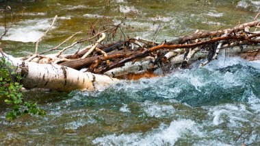 Güçlü akıntısı olan engebeli dağ nehri