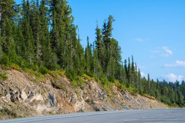 Kuru asfalt yol, ormandaki çizgiler, dağlara yolculuk.