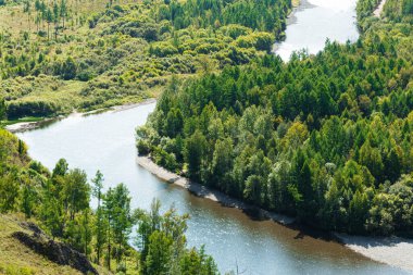 Nehir yatağının kıvrımları Yeşil orman, nehir vadisi
