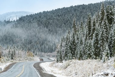 Kış asfalt yolunda buz, dağlara yolculuk, ormanda yol, tehlikeli bir soğuk çarpması.
