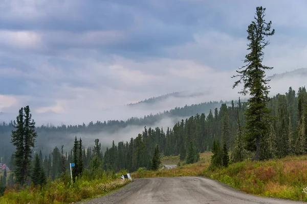 Feldweg Sonnigen Sommertagen Roadtrip Die Natur — Stockfoto