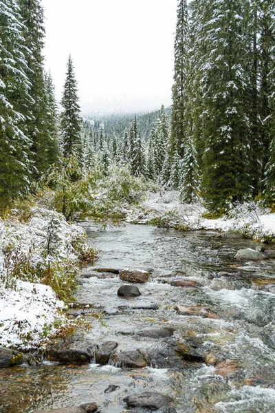 Fiume Montagna Nevoso Autunno Mattina — Foto Stock