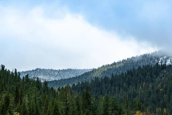 Colinas Del Bosque Bajo Cielo Azul Nublado Estado Ánimo Otoñal — Foto de Stock