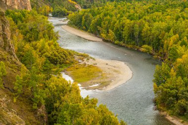 Nehir yatağının kıvrımları Yeşil orman, nehir vadisi
