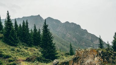 Kayalık çıkıntıları ve kozalaklı ormanı olan dağ sıraları, yürüyüş için turistik yollar.