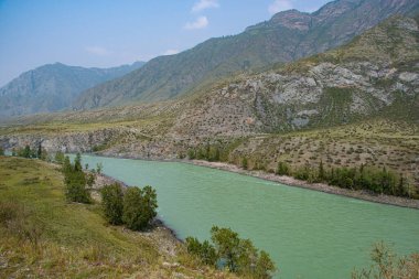Dağ vadisinde nehir, taşların ve kayaların arasında su akıntısı, kıyıda ağaçlar, salda su turisti gezisi.