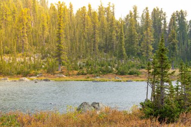 Geniş nehir yaz günü ormanların ve tepelerin arasında