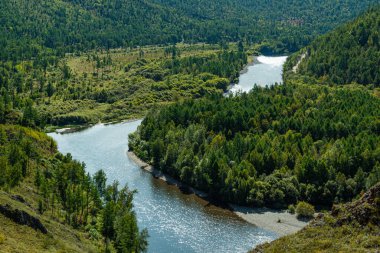 Nehir yatağının kıvrımları Yeşil orman, nehir vadisi