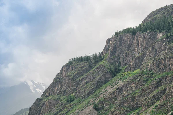 Silueta Cresta Roca Ladera Montaña Acantilados Cubiertos Bosque Paseo Verano — Foto de Stock