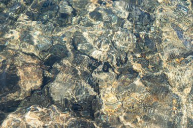 Nehir yatağının dibindeki kayalar ve çakıl taşları berrak sularda